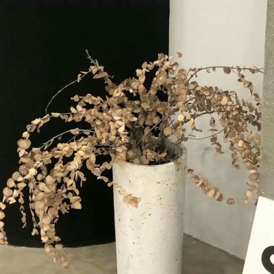 Furry文化趣味解读兽圈社群